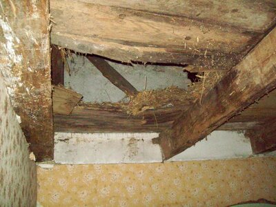Maison  - Partie habitation étage, Début des travaux vu sur le plafond de la chambre 