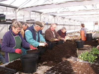plantations 2014, 15avril02