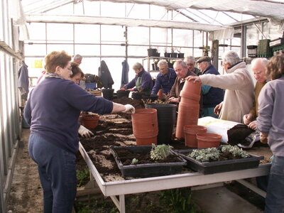 plantations 2014, 15avril04