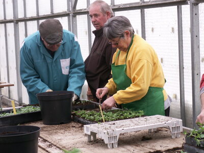 plantations 2014, 25avril07