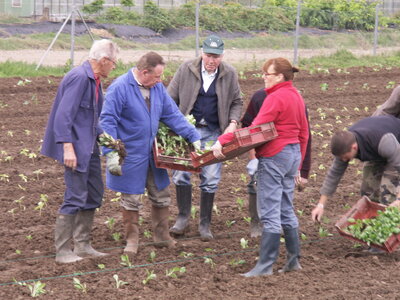plantations 2014, 28mai04