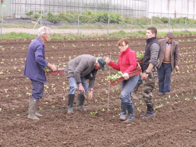plantations 2014, 28mai06