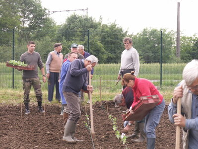 plantations 2014, 28mai15