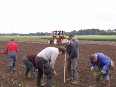plantations 2014, 28mai18