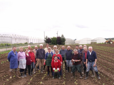 plantations 2014, 28mai46