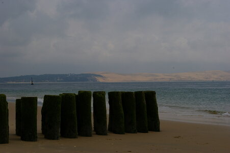 Bassin Arcachon juillet 2014, IMGP1577