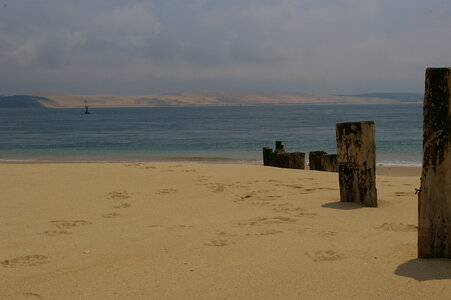 Bassin Arcachon juillet 2014, IMGP1582