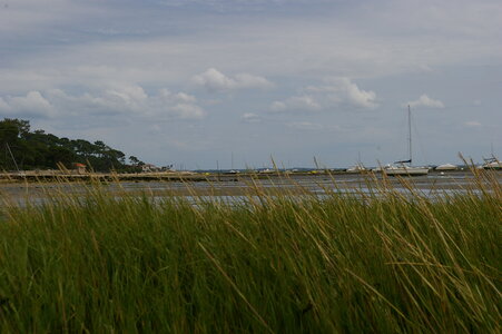 Bassin Arcachon juillet 2014, IMGP1608