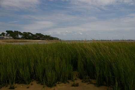 Bassin Arcachon juillet 2014, IMGP1609