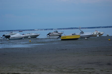 Bassin Arcachon juillet 2014, IMGP1618