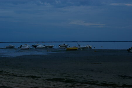 Bassin Arcachon juillet 2014, IMGP1627