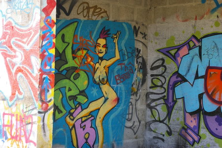 Street art Cité abandonnée a Pirou 2009, IMGP4409