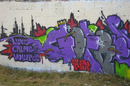 Street art Cité abandonnée a Pirou 2009, IMGP4410
