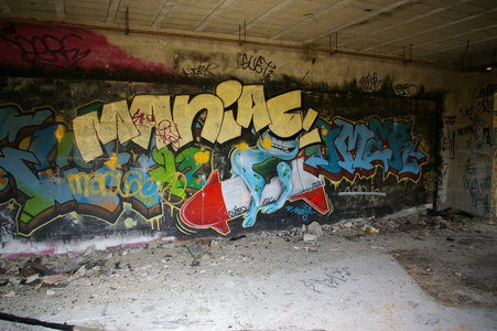 Street art Cité abandonnée a Pirou 2009, IMGP4412