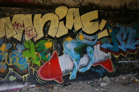 Street art Cité abandonnée a Pirou 2009, IMGP4413