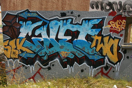 Street art Cité abandonnée a Pirou 2009, IMGP4436
