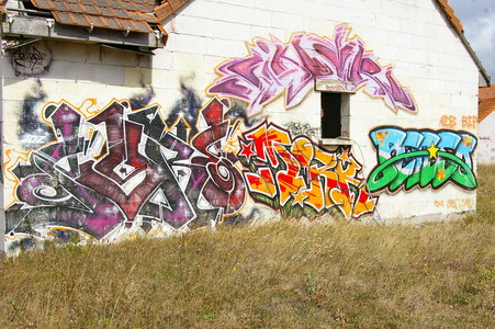 Street art Cité abandonnée a Pirou 2009, IMGP4455
