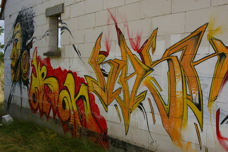 Street art Cité abandonnée a Pirou 2009, IMGP4456