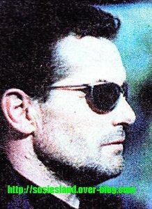 Sosiesland, Terminator 2
