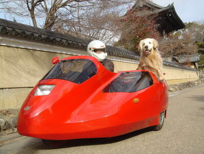 Sosiesland, X-or et son chien