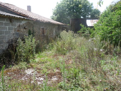 La Jamonnière, 031 Jardin Nord