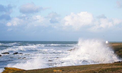 Ile d'Yeu 11.2014, DSCF8847