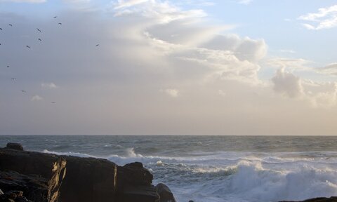 Ile d'Yeu 11.2014, DSCF8868