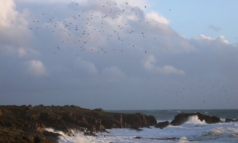 Ile d'Yeu 11.2014, DSCF8871