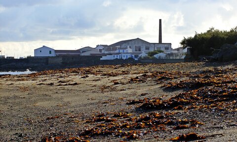 Ile d'Yeu 11.2014, DSCF8928.2