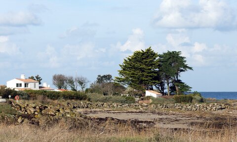 Ile d'Yeu 11.2014, DSCF8946