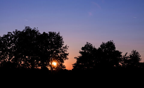 Giroussens, IMG_0703
