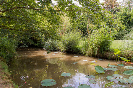 Giroussens, IMG_0734