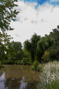 Giroussens, IMG_0735