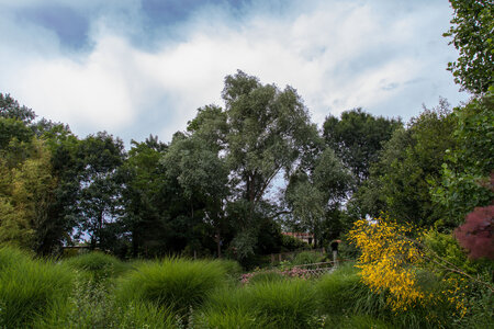 Giroussens, IMG_0745