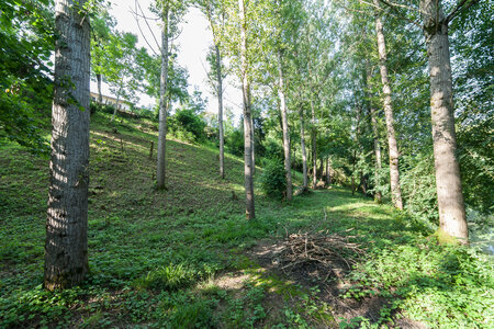 Giroussens, IMG_0186