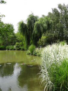 Giroussens 2, DSC00185