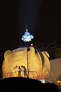 28 Fête des Lumières Lyon 2014, 05 Fête des lumières Lyon 2014