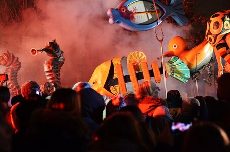 28 Fête des Lumières Lyon 2014, 10 Fête des lumières Lyon 2014
