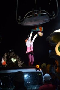 29 Féérie d'hiver Valence 2014, Image004