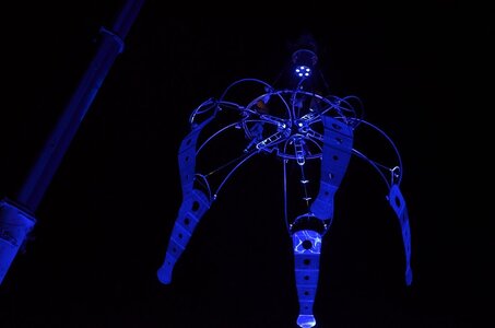 29 Féérie d'hiver Valence 2014, Image012