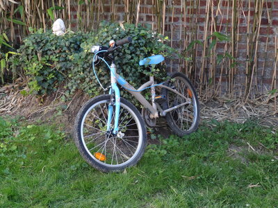 Irles 2001, DSC00076