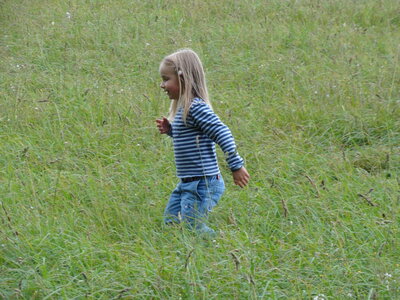 Irles 2001, DSC00113