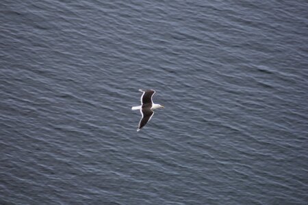 ECOSSE 2014, 30