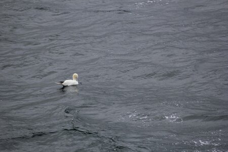 ECOSSE 2014, 14