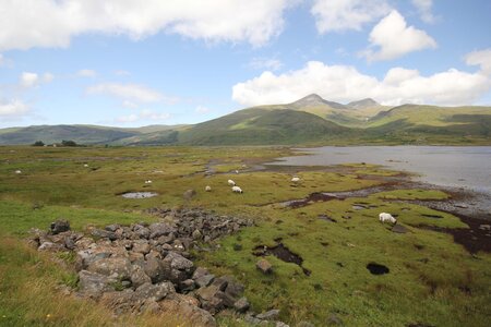 ECOSSE 2014, 17