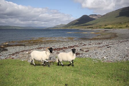 ECOSSE 2014, 19