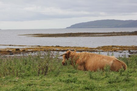 ECOSSE 2014, 21