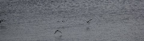 ECOSSE 2014, 33