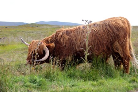 ECOSSE 2014, 59