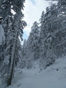 Randonnée en raquettes des neiges - 28.12.2014, P1050919